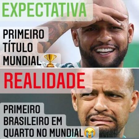 Meme Palmeiras expectativa vs realidade